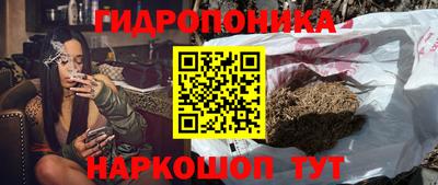 молекула духа Лесосибирск
