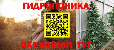 молекула духа Лесосибирск